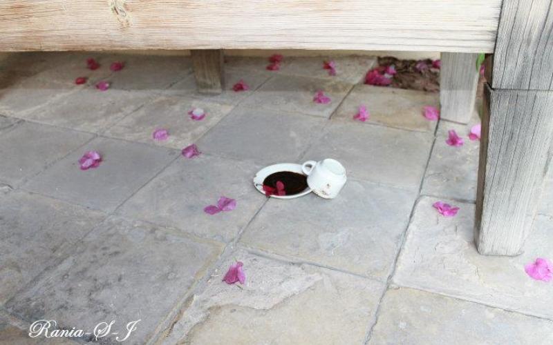 دارة الفنون – عدسة رانية الجعبري/فيسبوك 