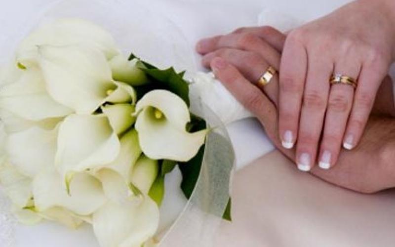 حلم يذبل كل الصيف 