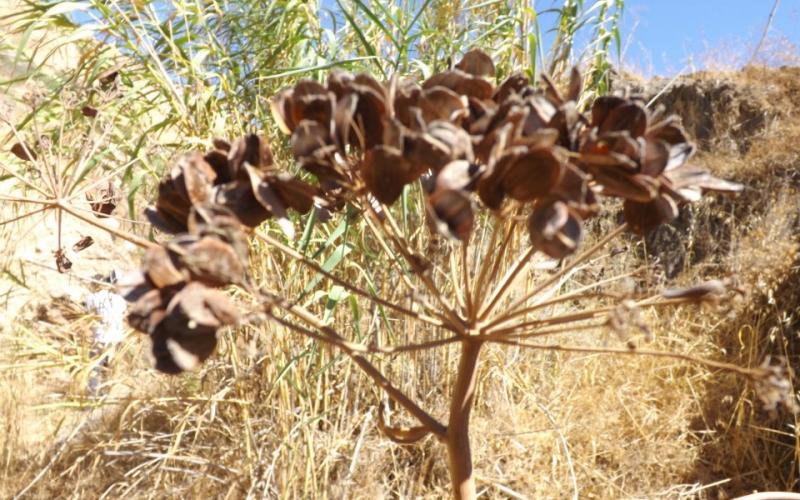 وادي زقلاب / الكورة- عدسة يحيى بني حمد 