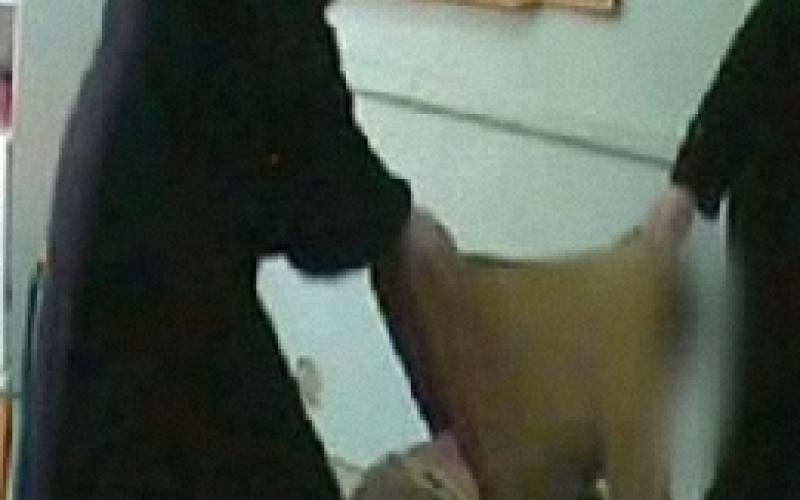 الملك يحيل توصيات لجنة التحقيق بـ"المعاقين" للحكومة الجديدة