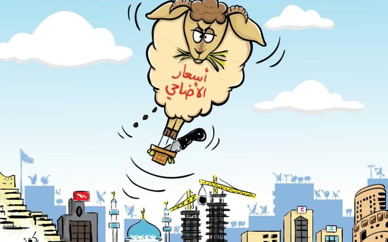 اسعار الاضاحي !!