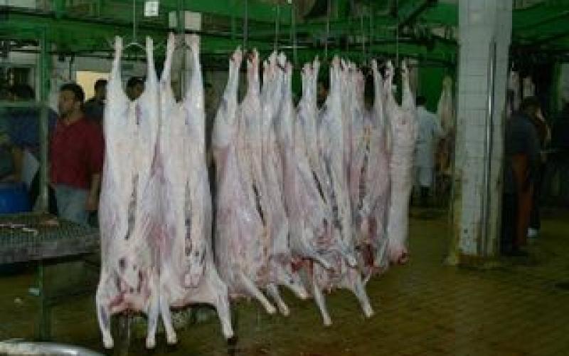 مسالخ الامانة استقبلت 102 الف رأس غنم خلال العيد 