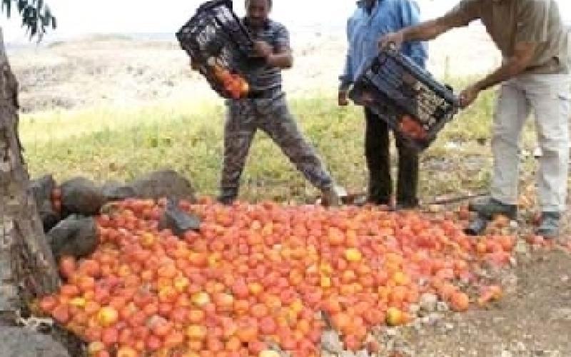 ارتفاع اسعار المحروقات ينذر بكارثة على القطاع الزراعي 