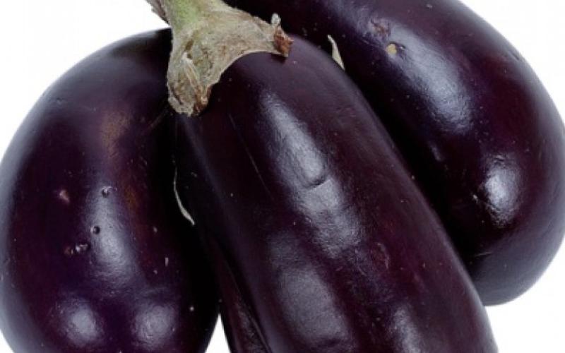 مزارعون يلقون الباذنجان احتجاجاً على تدني اسعاره 