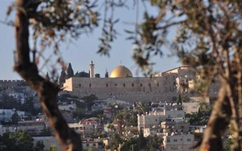 قال لي الاستاذ: احترم القارئ !! 