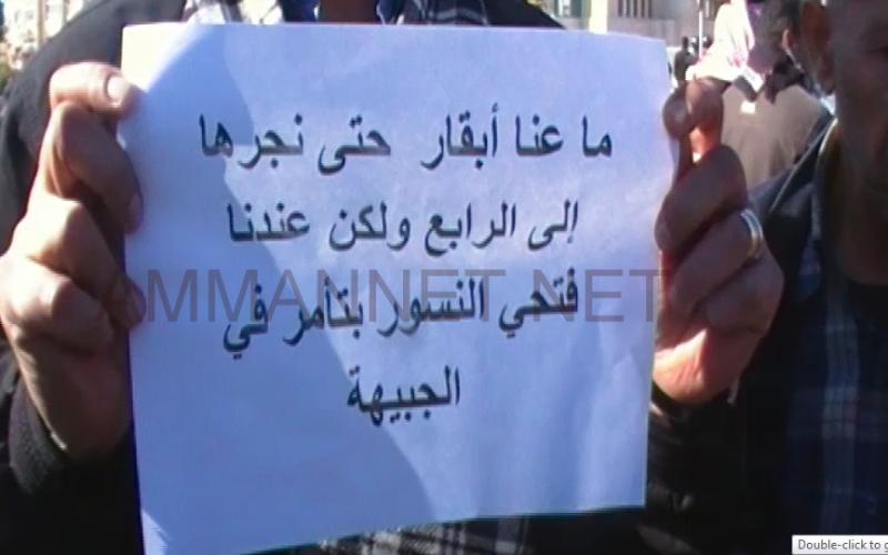 فيديو- موظفو الاحصاءات يواصلون الاحتجاج 