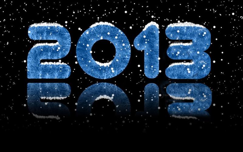 الاردنيون يودعون العام 2012 بـ جمل خالدة 