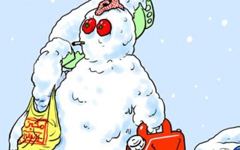 أوجه الشبه و الاختلاف بين الحكومة و المنخفض