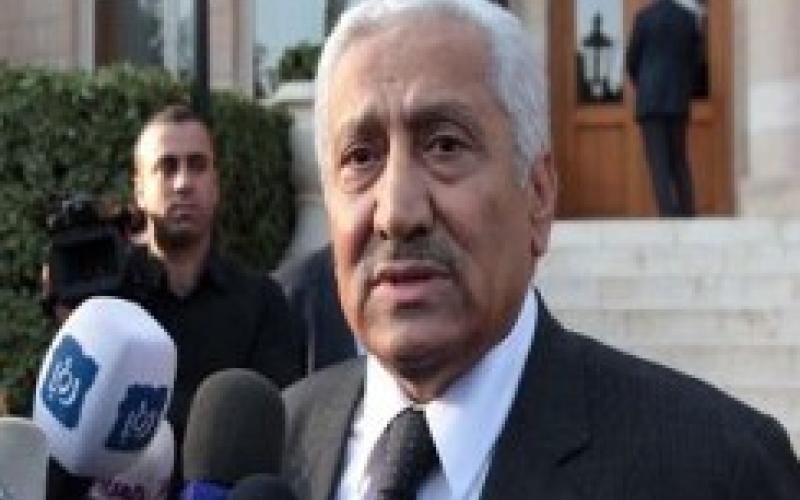 النسور: أعضاء لجنة التخاصية لم يكونوا جزءا من الخصخصة