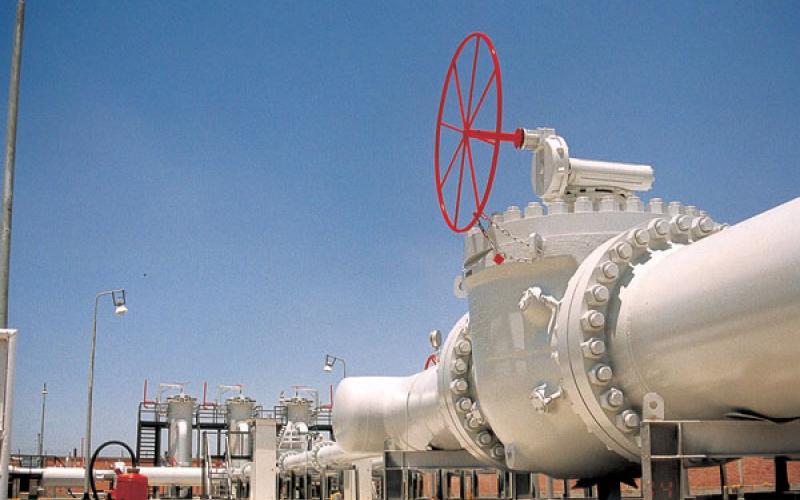 نائب السفير المصري لـ عمان نت: زيادة كميات الغاز قريباً