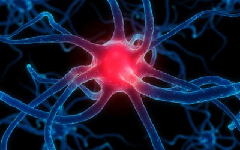 مرضى الشلل الدماغي.. طموح يصدم بالواقع 
