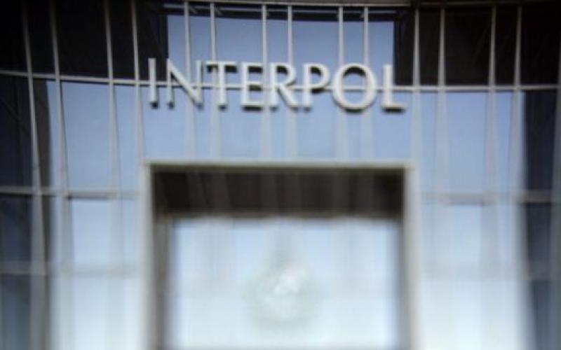 الانتربول يجلب اكرم شاهين 