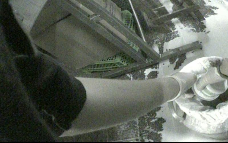 تجاوزات صحية وبيئية.. وتلاعب بالمواصفات في مصانع ألبان