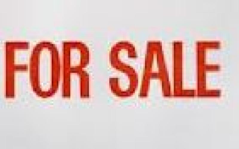 بيع الوزارات في المزادات