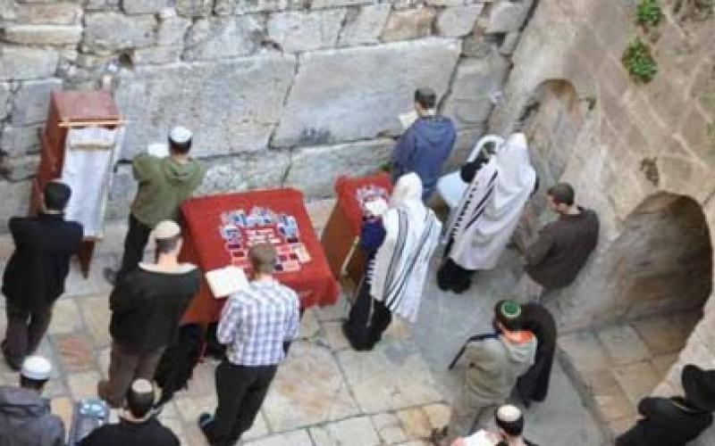 البراق يُهدِد الأقصى وتقسيمه أصبح واقعا