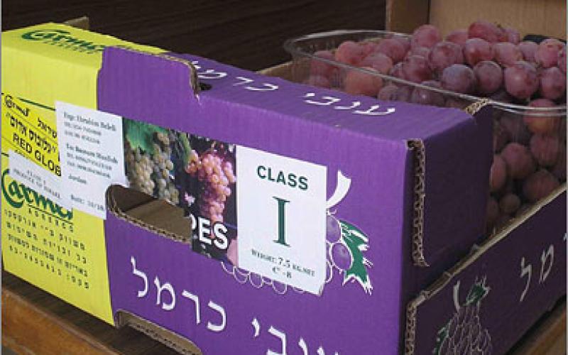 مصدرو الخضار: مستوردات الأردن من إسرائيل لا تتجاوز 2%