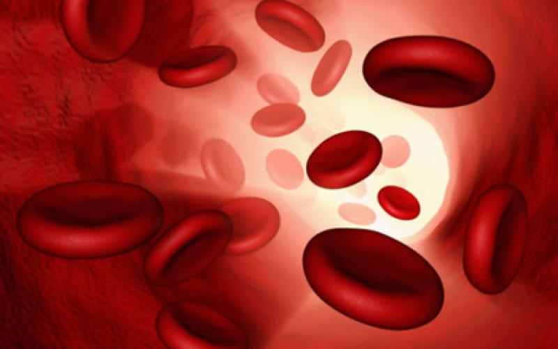 الأردن: تراجع معدلات الرضاعة الطبيعية وإصابة ثلثي الأردنيات بفقر الدم 