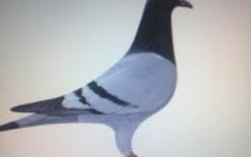 منع من الوصول