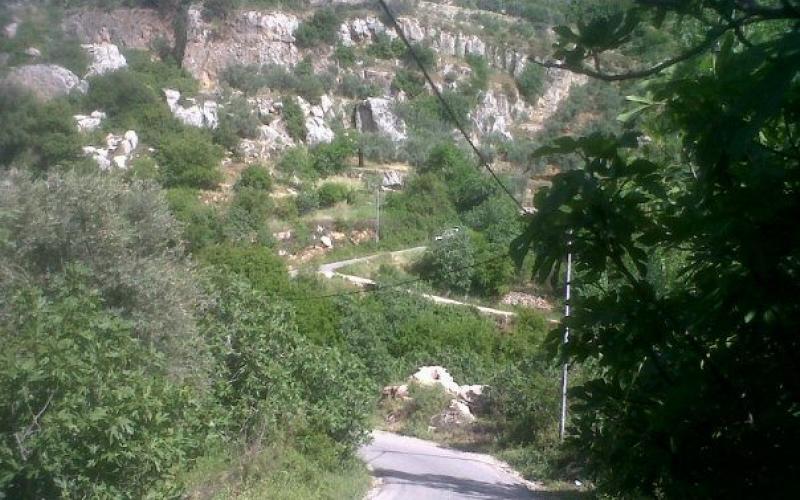 عجلون.. الزائر لا يرغب بالمغادرة 