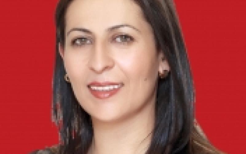 الدين العام: إدارة مرتبكة 