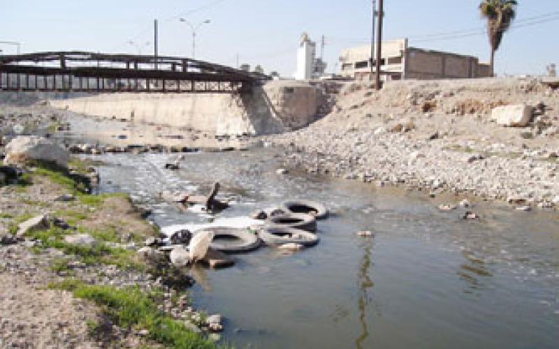 حشرات وروائح السيل تقض مضاجع اهل الزرقاء- صوت