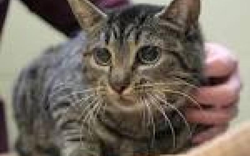 عملية تصنيع