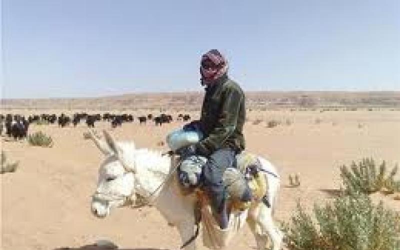 البدون... أردنيون من جانب واحد