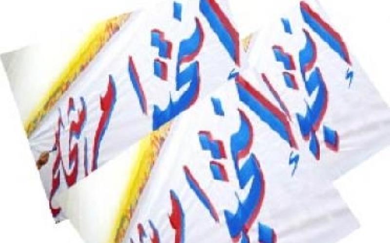 مظاهر دعائية مخالفة قبل موعد قبول الترشح للإنتخابات البلدية (صوت)