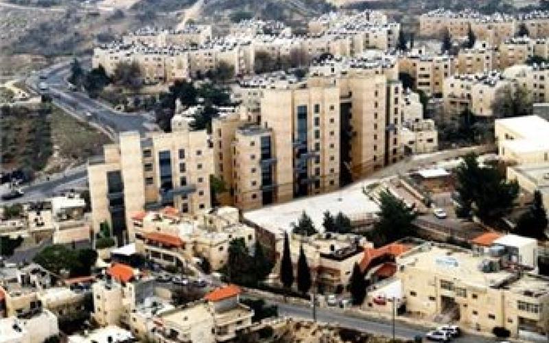 مستوطنات جديدة في جبل المكبر والقدس