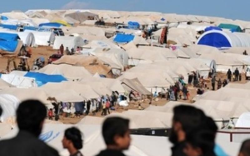 الحمود: لم يتم رصد "جريمة منظمة" في الزعتري