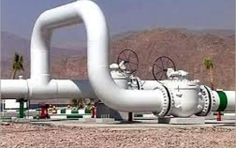 وزير الخارجية المصري يبحث ملف الغاز والوضع الإقليمي في عمان