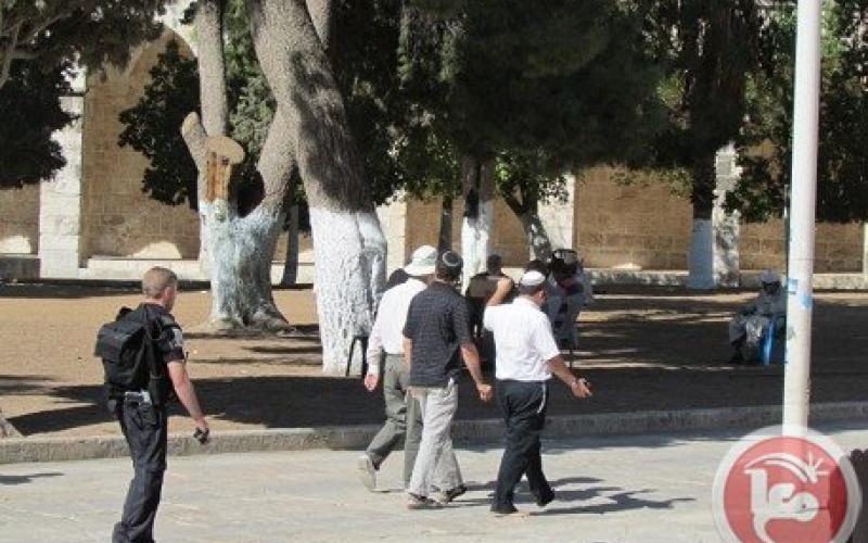 الأوقاف تحذر من تصاعد اقتحام المتطرفين للأقصى