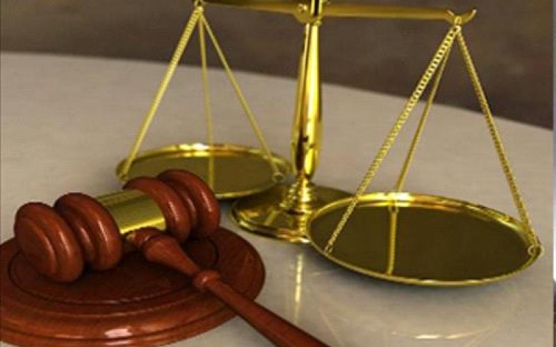 الادعاء العام يجرّم والد طفل نهشته الكلاب