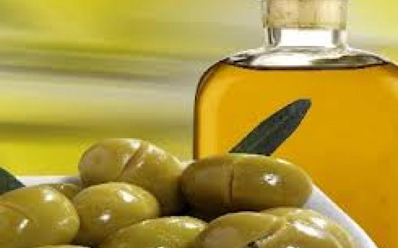 أبو غنيمة يطالب بتشديد الرقابة على عمليّات تهريب وغشّ الزيت 