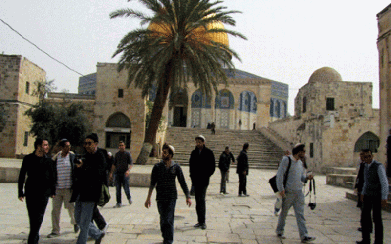الأوقاف: أبلغنا الخارجية للعمل على وقف الانتهاكات في الأقصى