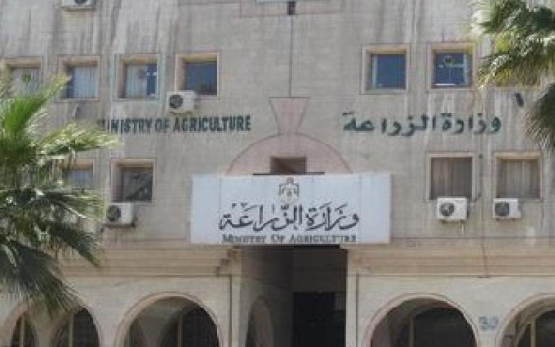 الزراعة: تبادل الخضار والفواكه مع سورية لم يتوقف