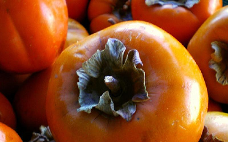 "الزراعة": فاكهة الكاكا بالأسواق إنتاج أردني