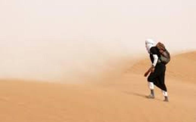 البحث عن مكانٍ في المكان