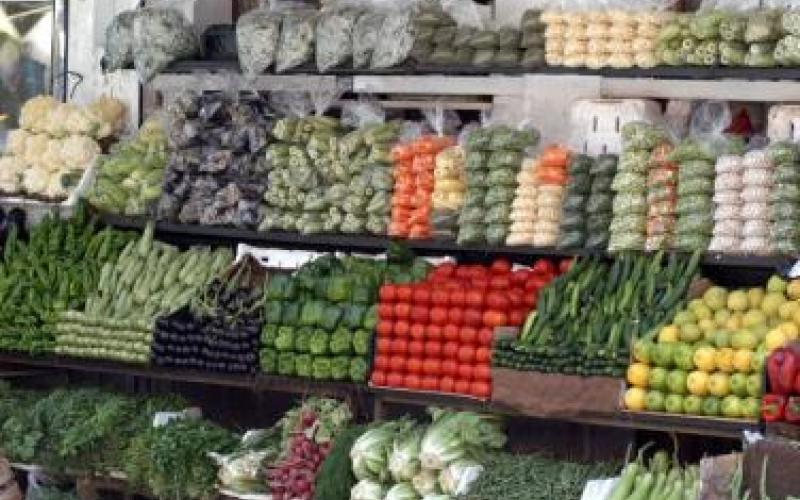 ياسين: التصدير غير القانوني للخضار يسيء لسمعة الاردن