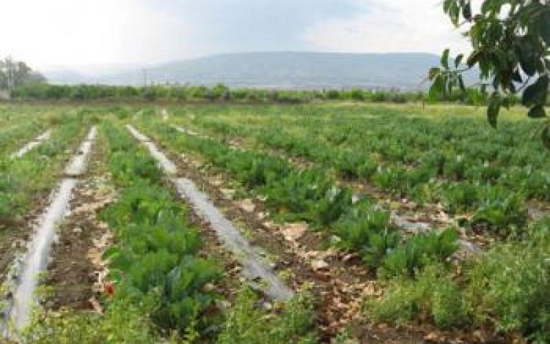المزارعون يستبشرون بالموسم المطري