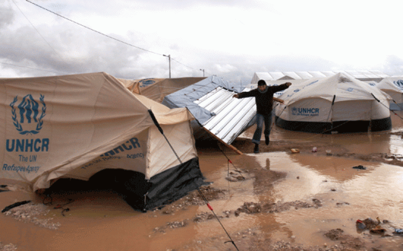 محافظ المفرق ينفي وفاة طفلة في الزعتري