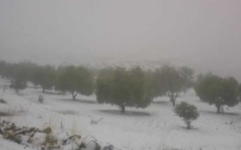 الكرك: العثور على رضيعة بين الثلوج