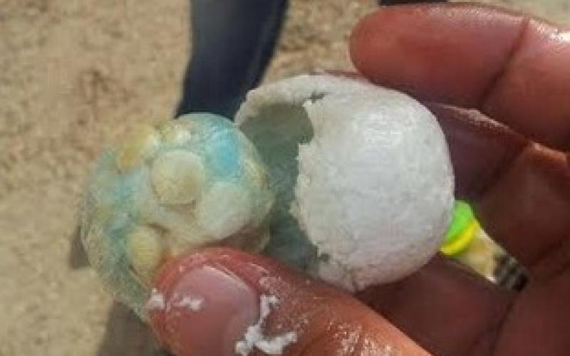 إحباط تهريب حبوب مخدرة في مواد غذائية