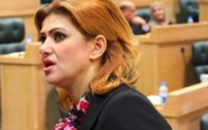 حقوق الإنسان النيابية تدفع لإلغاء قانون منع الجرائم