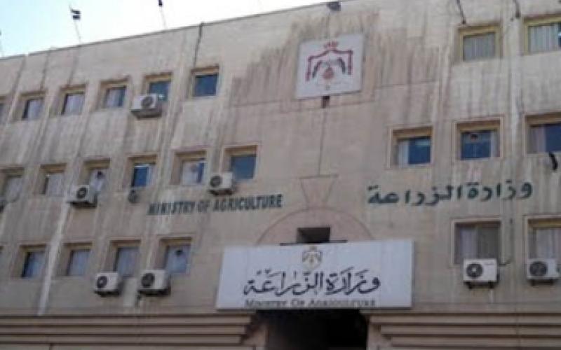 الزراعة: لا تخوف من انحباس الأمطار