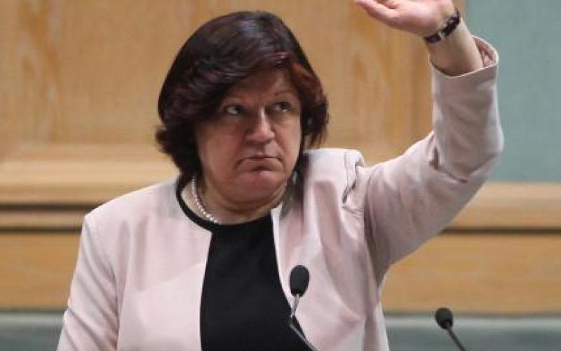 ابو علبة : "موقف الاردن من خطة كيري غير مريح"