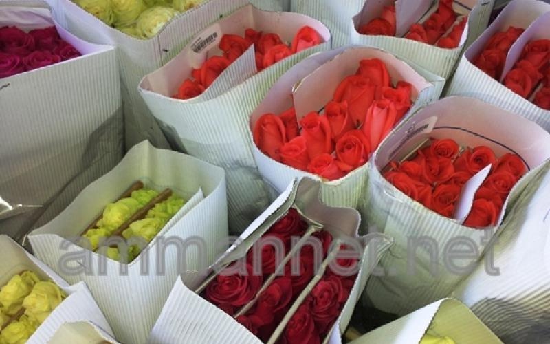 الفالنتاين يدق باب أبو أحمد بعد 40 عاما من الزواج