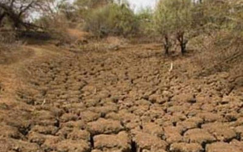 خبير: استبعاد تأثير حالة الجفاف على مياه الشرب