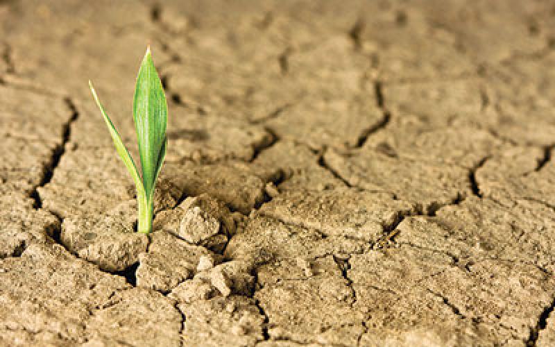  اعلان حالة الجفاف مازال مبكرا