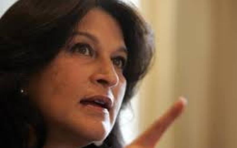 مها الخطيب:استقلت بسبب ضغوط الرئاسة لبيع أرض للنائب السعودي